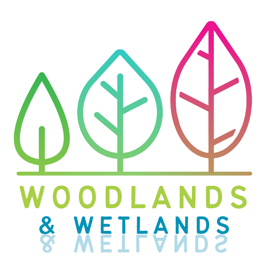 Woodlands and Wetlands